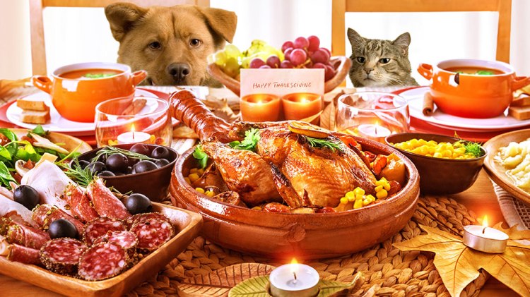 8种意想不到的对宠物有害的节日食物